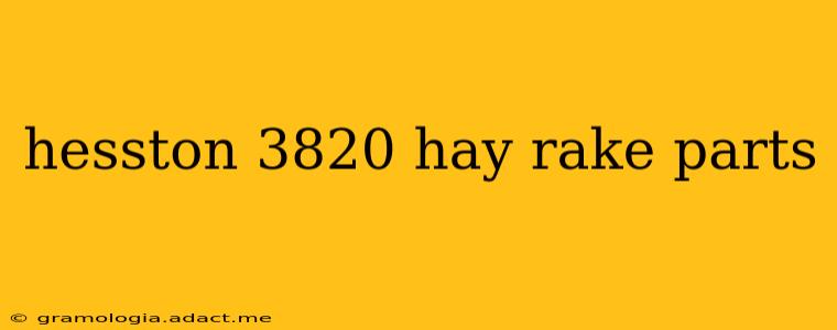 hesston 3820 hay rake parts