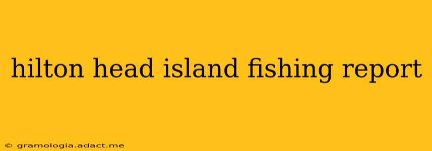 hilton head island fishing report