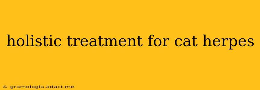 holistic treatment for cat herpes