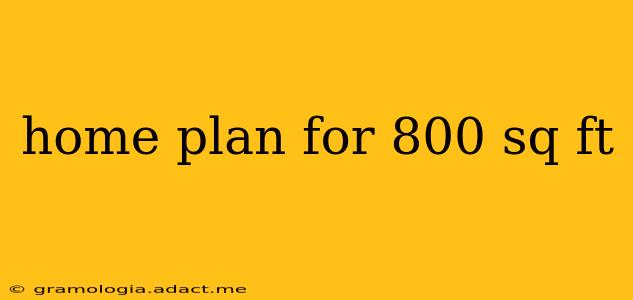 home plan for 800 sq ft