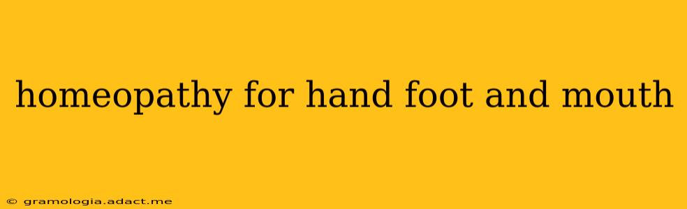 homeopathy for hand foot and mouth