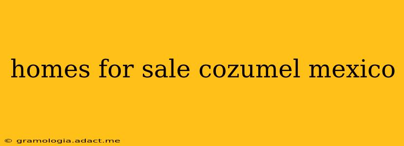 homes for sale cozumel mexico