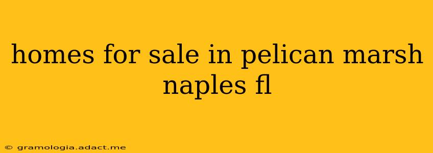 homes for sale in pelican marsh naples fl