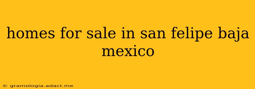 homes for sale in san felipe baja mexico