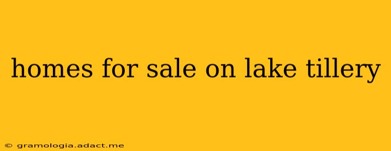homes for sale on lake tillery