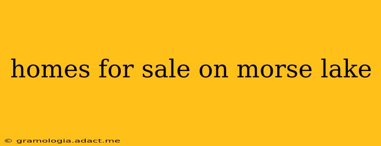 homes for sale on morse lake
