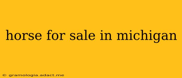 horse for sale in michigan