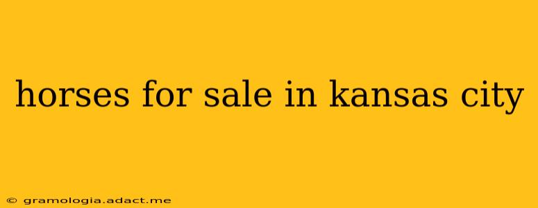 horses for sale in kansas city