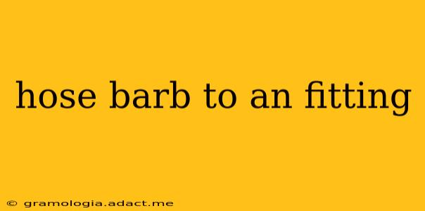 hose barb to an fitting