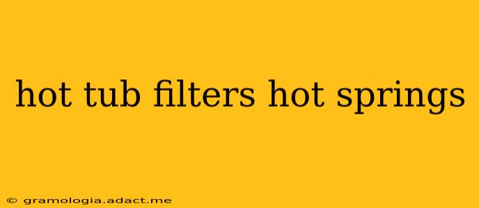 hot tub filters hot springs