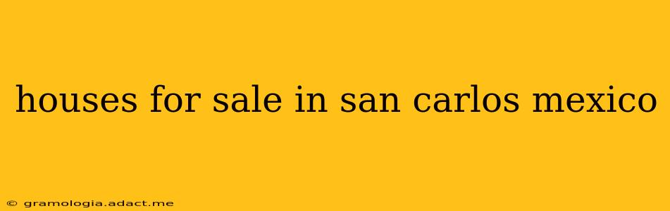 houses for sale in san carlos mexico