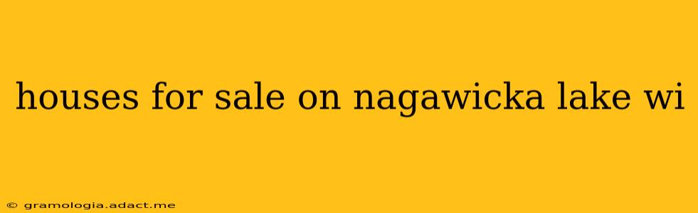 houses for sale on nagawicka lake wi