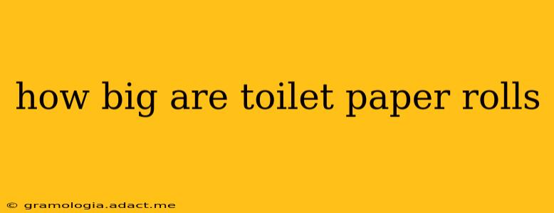 how big are toilet paper rolls