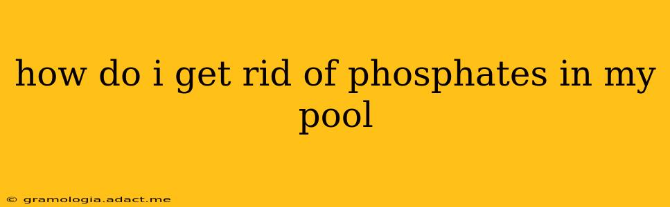 how do i get rid of phosphates in my pool