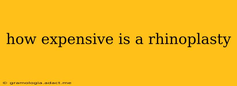 how expensive is a rhinoplasty
