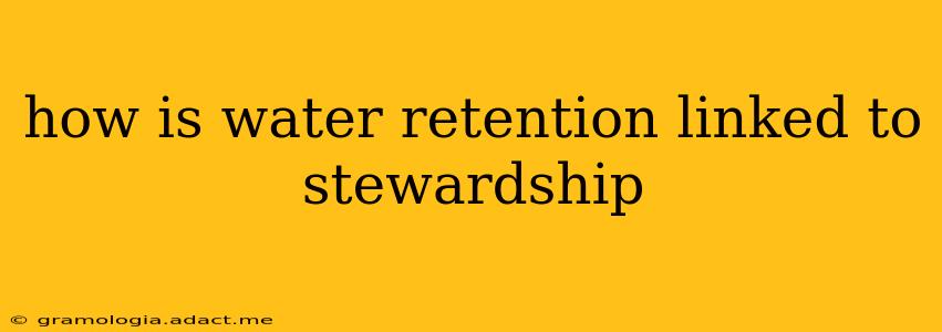 how is water retention linked to stewardship