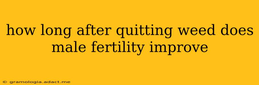 how long after quitting weed does male fertility improve