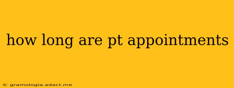 how long are pt appointments