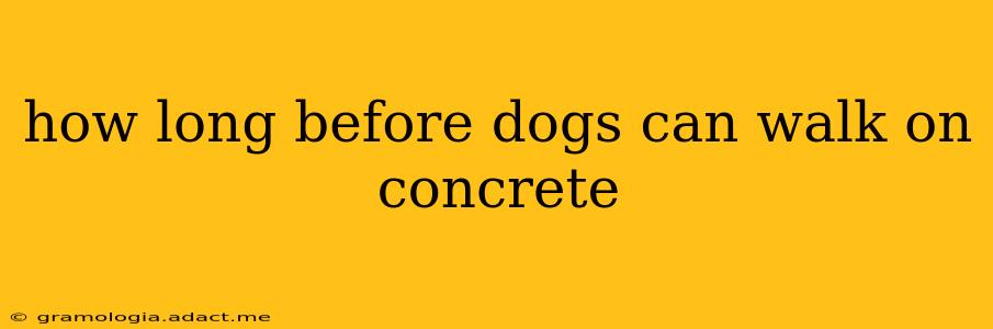 how long before dogs can walk on concrete