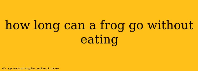 how long can a frog go without eating