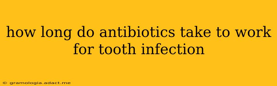 how long do antibiotics take to work for tooth infection