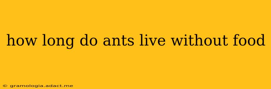 how long do ants live without food