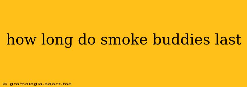 how long do smoke buddies last