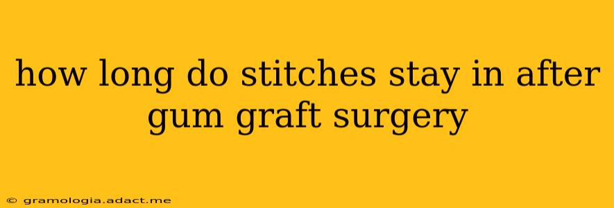 how long do stitches stay in after gum graft surgery