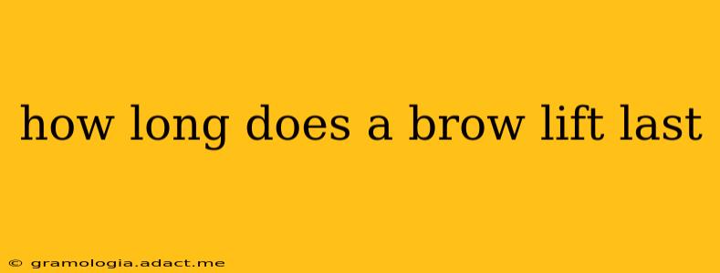 how long does a brow lift last