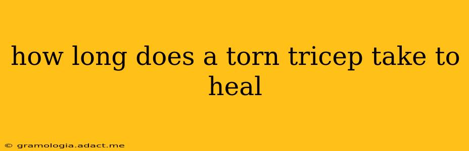 how long does a torn tricep take to heal