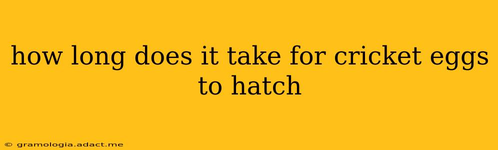 how long does it take for cricket eggs to hatch