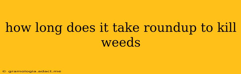 how long does it take roundup to kill weeds