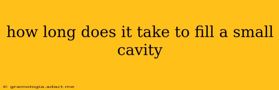 how long does it take to fill a small cavity