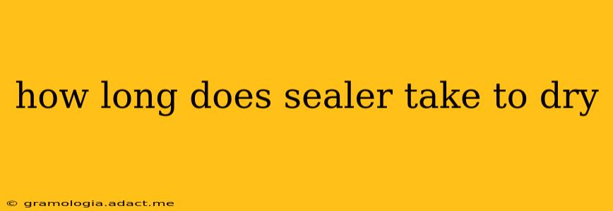 how long does sealer take to dry