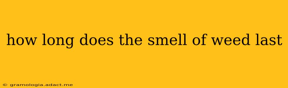how long does the smell of weed last