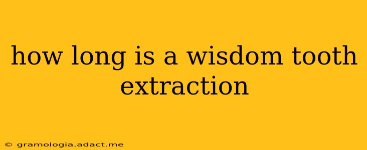 how long is a wisdom tooth extraction