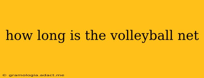 how long is the volleyball net