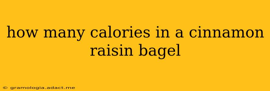 how many calories in a cinnamon raisin bagel