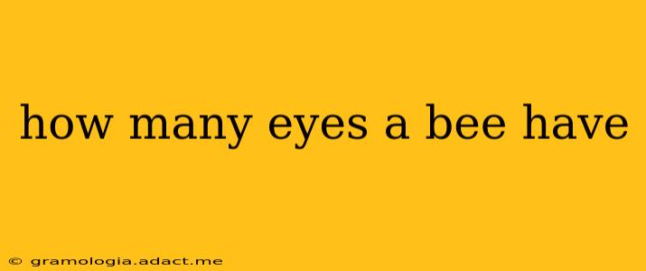 how many eyes a bee have