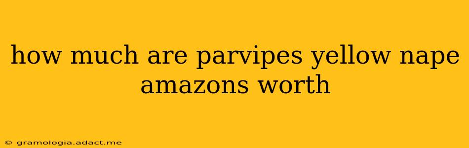 how much are parvipes yellow nape amazons worth