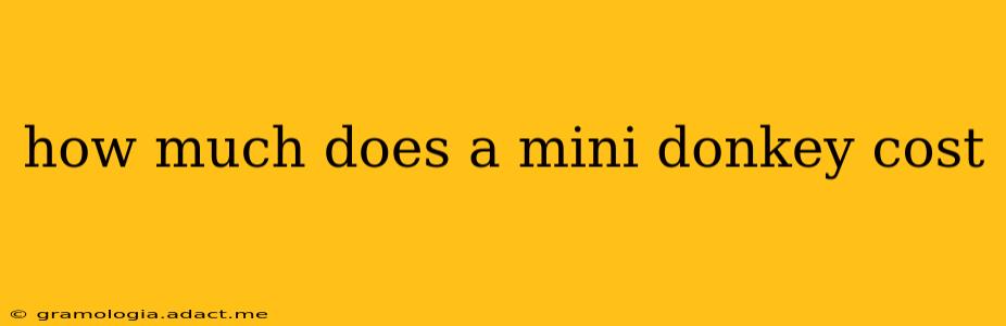 how much does a mini donkey cost
