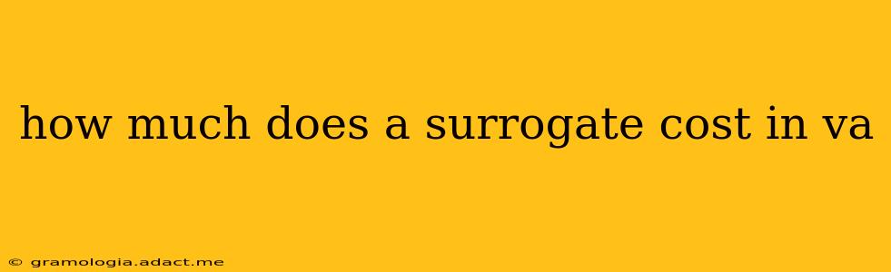 how much does a surrogate cost in va