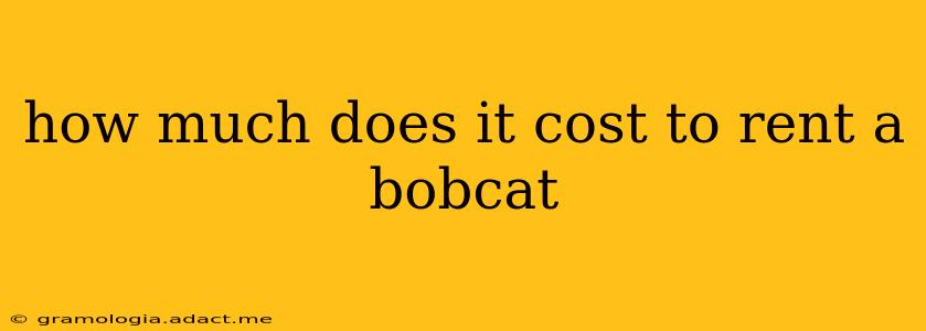 how much does it cost to rent a bobcat