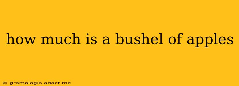 how much is a bushel of apples