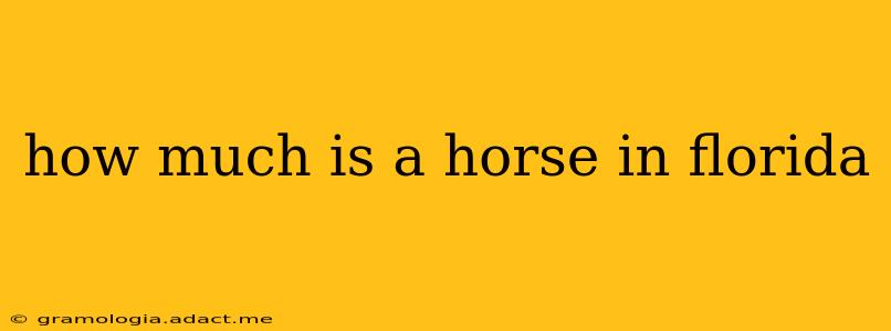 how much is a horse in florida