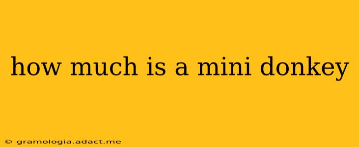 how much is a mini donkey