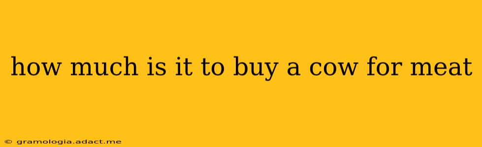 how much is it to buy a cow for meat