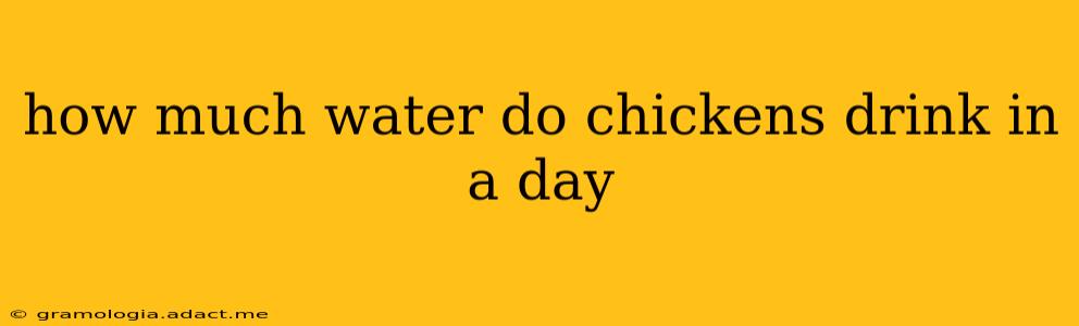 how much water do chickens drink in a day