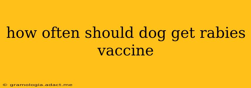 how often should dog get rabies vaccine