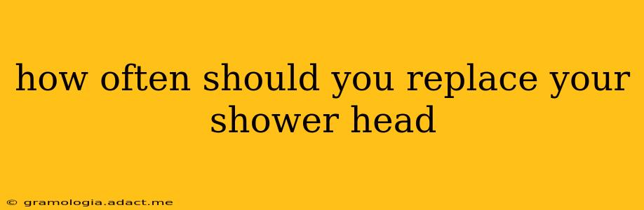 how often should you replace your shower head